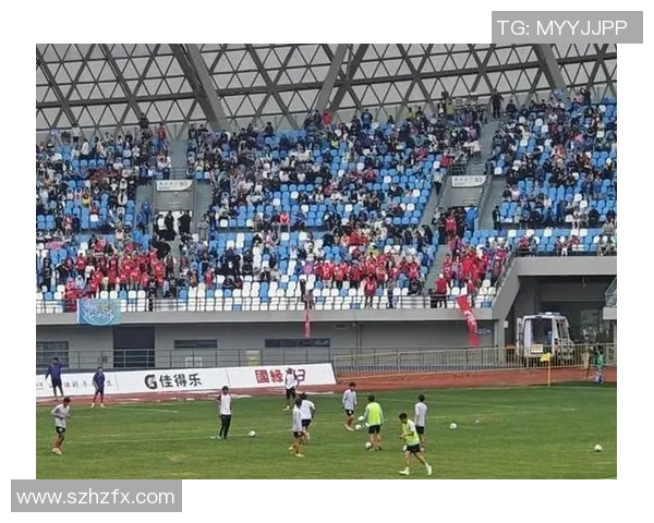 南京足球队实力引发热议球迷对球队未来发展看法不一