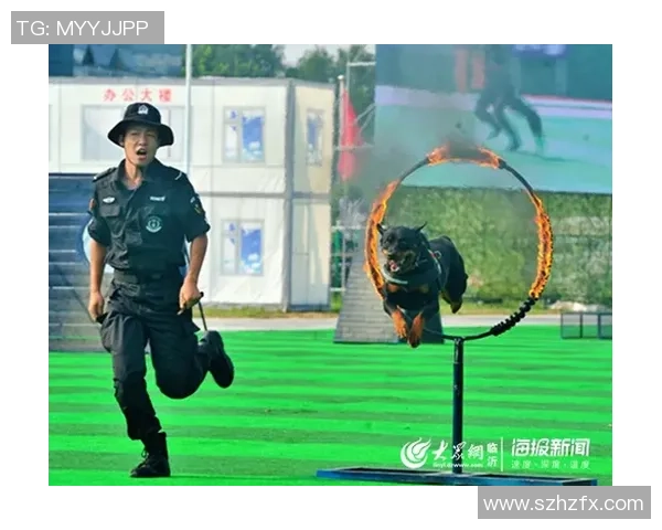 南京街舞队快攻战术解析与实战应用全方位解读